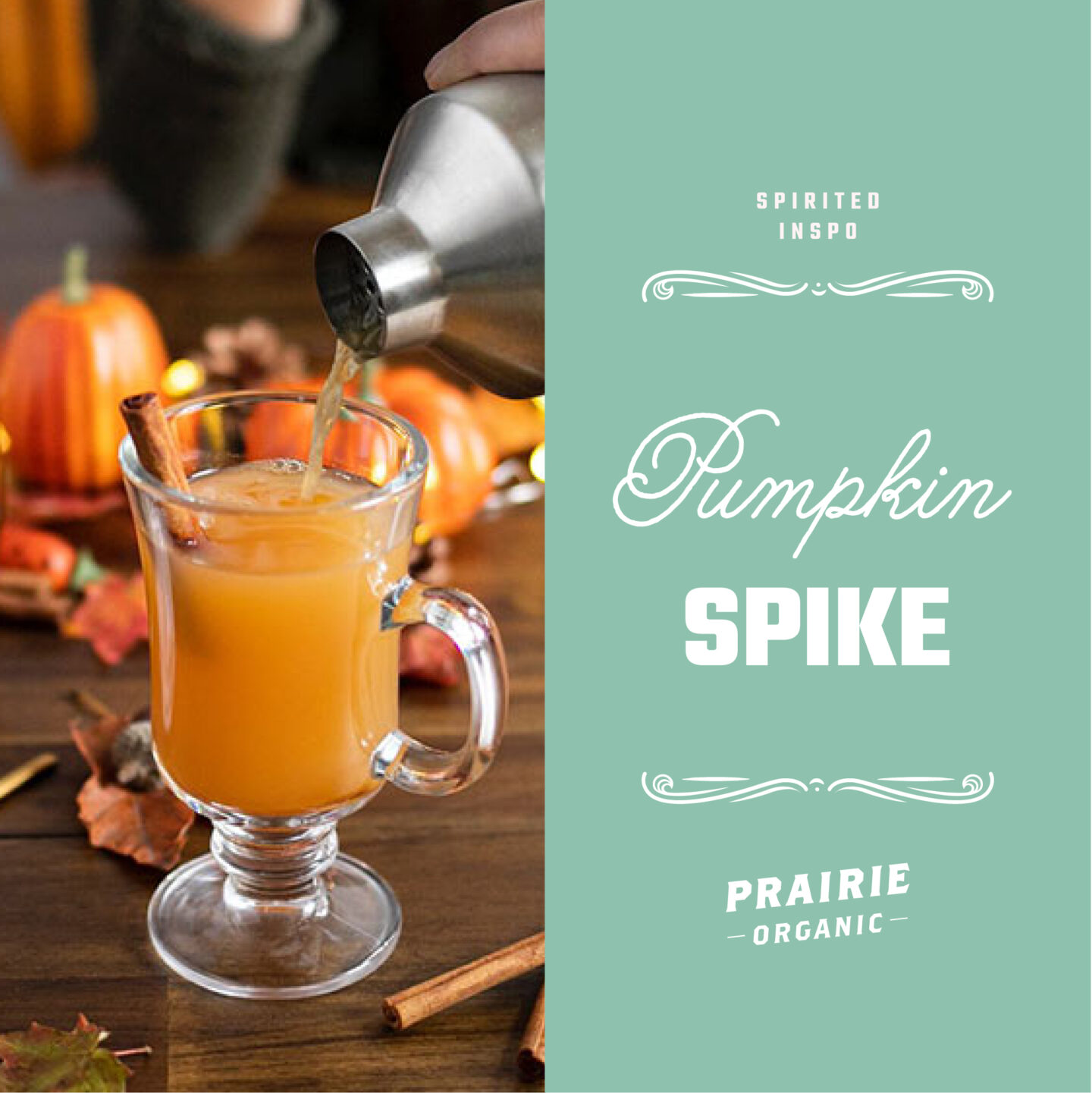 Prairie_DI_PumpkinSpike_Final-1440×1441-1